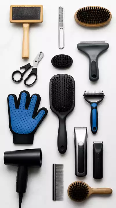Various dog grooming tools neatly laid out on a clean surface