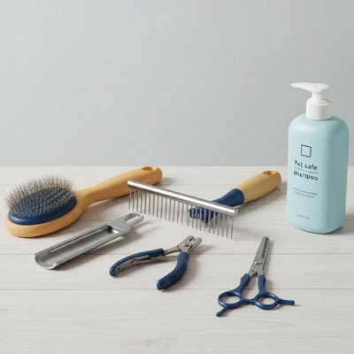Assortment of dog grooming tools on a clean background